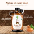 thumbnail image 2 of SVA Argan Oil Organic - 4 Fl Oz – 100% Natural Cold Pressed Organic Argan Oil - for Face, Skin Care, Hair Care, Scalp Massage & Body Massage – Carrier Oil with Dropper, 2 of 8
