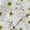 White, variant on Member's Mark Pompon Daisies, 90 stems (Choose color)