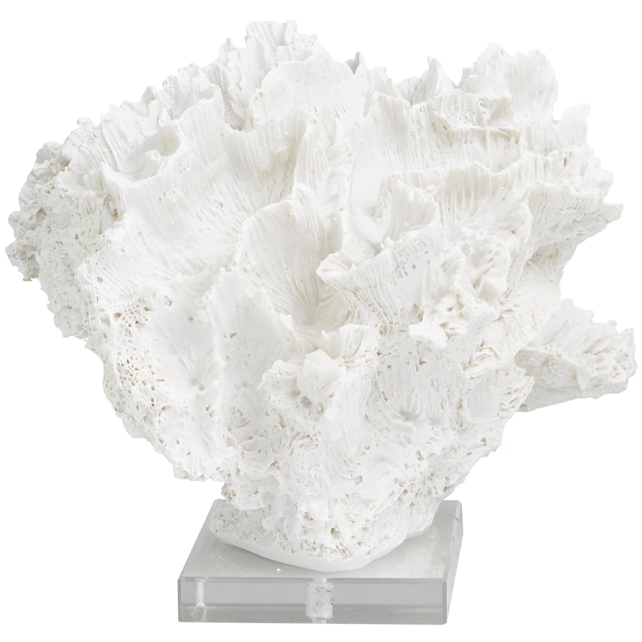 12" x 8" White Polystone Textured Coral Sculpture with Clear Acrylic Base, by DecMode