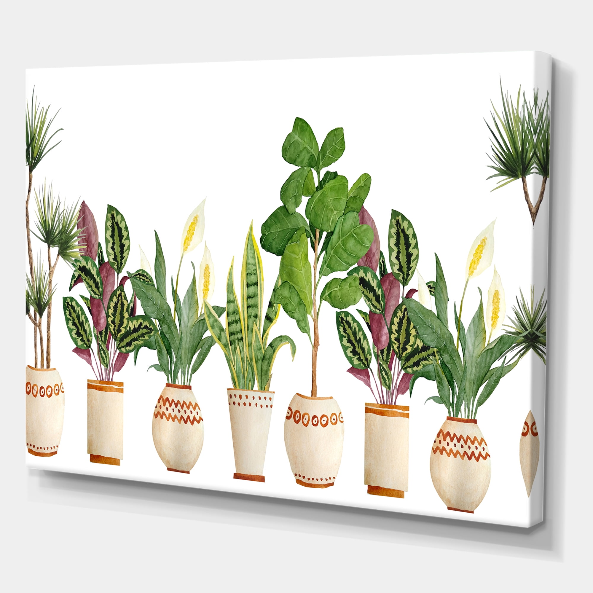 Designart ' Trio of Houseplants Sanseviera Snake Plants On White ' Farmhouse Canvas Wall Art Print