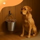 thumbnail image 2 of Cubo Plano Acero Inoxidable Advance Pet Products Pesado de 6 Cuartos, 2 of 6