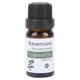 thumbnail image 2 of 10ml Natural Essential Oils NonIrritating Plant Fragrance Oils Soothing Massage Essential Oil(Rowan Shale ), 2 of 4