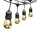 thumbnail image 3 of Feit Electric Guirlandes Lumineuses d'Extérieur (48 Pieds), 3 of 4