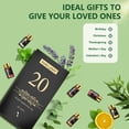 thumbnail image 3 of MAYJAM 20Pcs Essential Oils For Humidifier, Aromatherapy Oil Diffuser Oils For Candle Making, 3 of 11