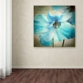 thumbnail image 3 of Trademark Fine Art "Himalayan Blue II" Canvas Art by Color Bakery, 3 of 3