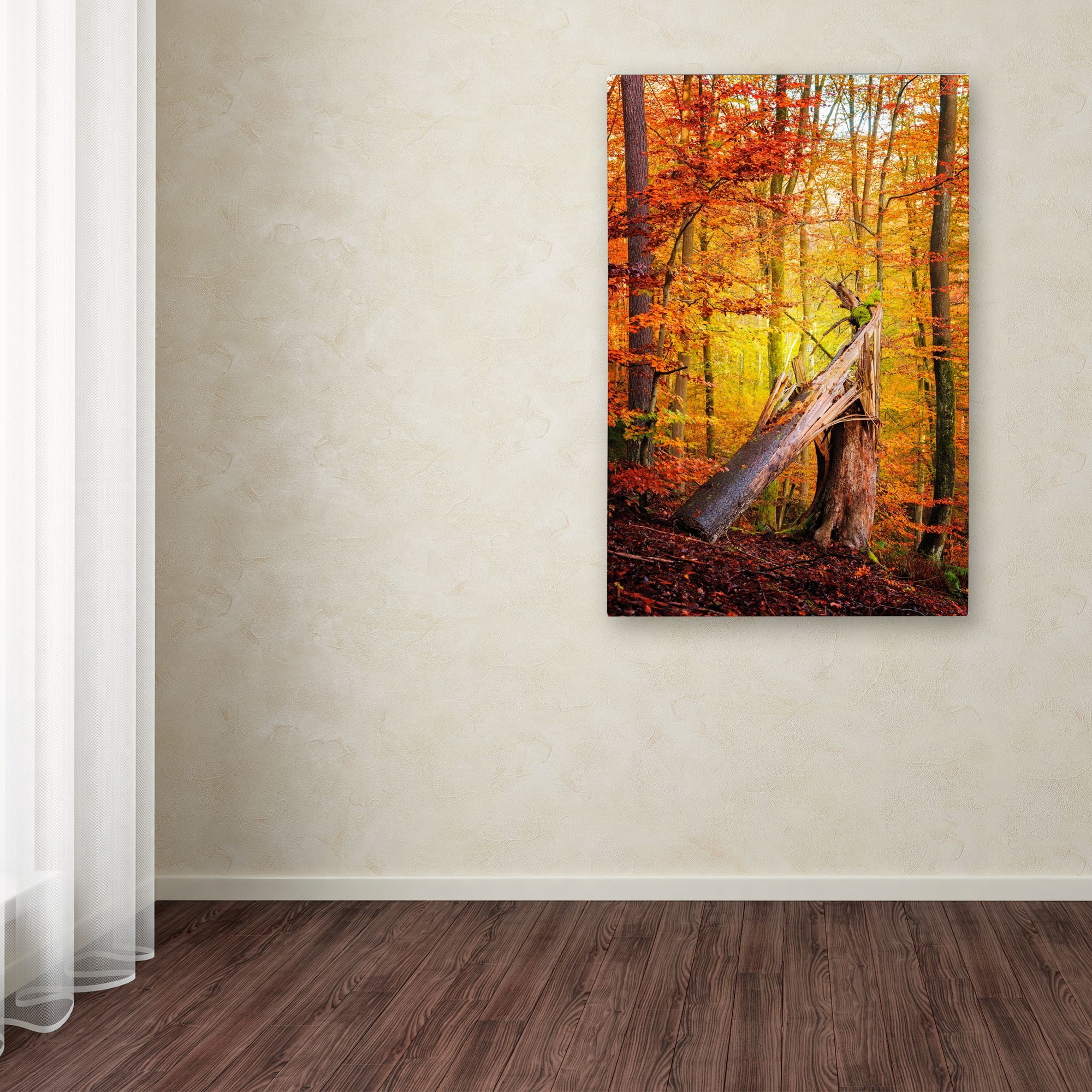 Trademark Fine Art "Broken Career" Canvas Art by Philippe Sainte-Laudy