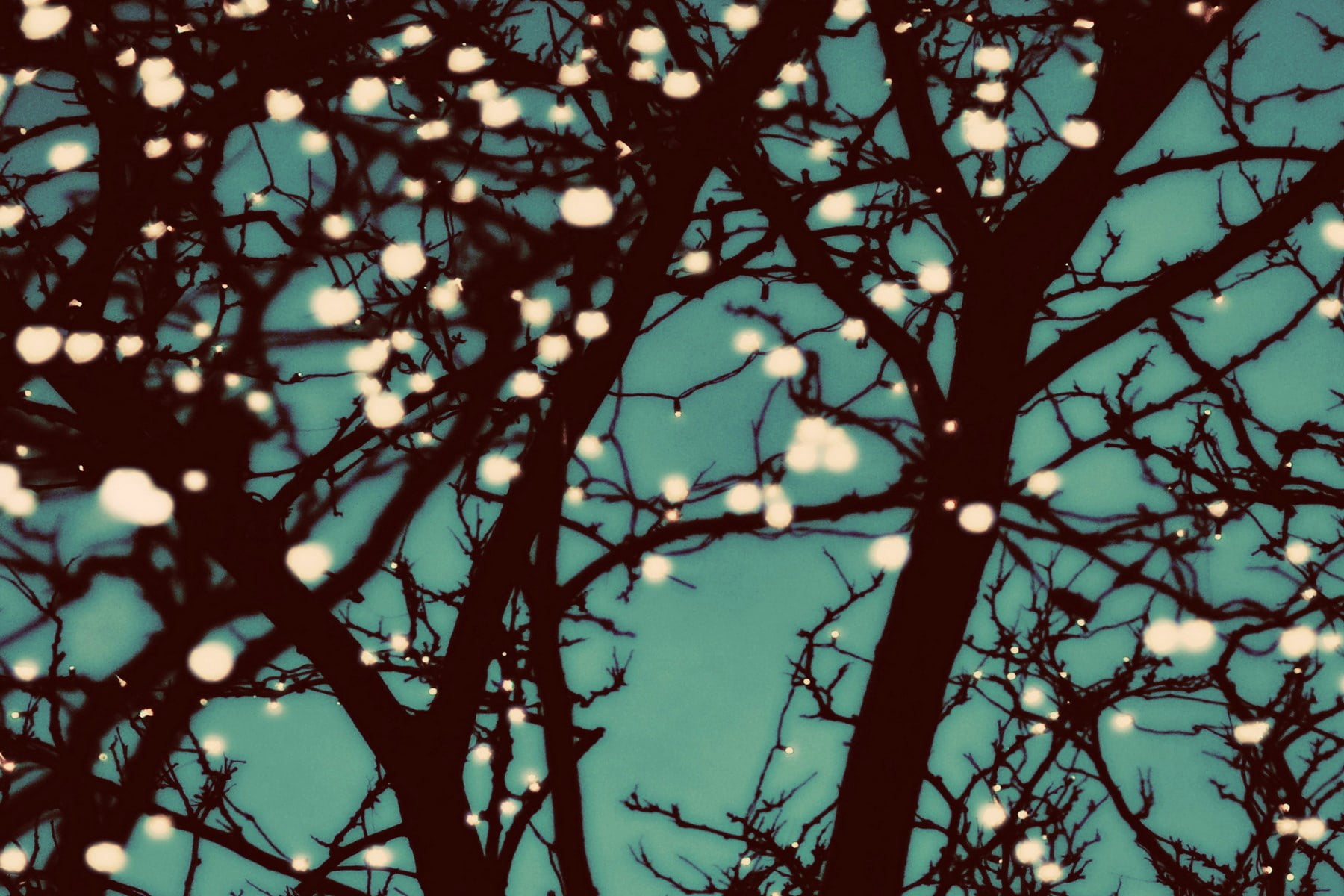 "Night Lights 2" Painting Print on Wrapped Canvas