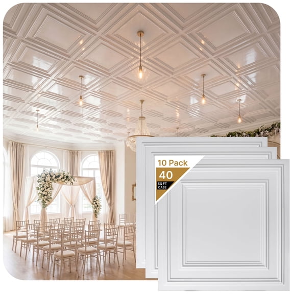 232-Economy 2 ft. x 2 ft. PVC Lay-in Ceiling Tile in Plain White (40 Sq.ft / Pack) - 10 Pieces