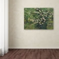 thumbnail image 3 of Van Gogh 'Roses' Canvas Art, 3 of 3