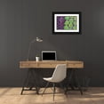 thumbnail image 3 of Jaynes Gallery 18x13 Black Ornate Wood Framed with Double Matting Museum Art Print Titled - Netherlands-Amsterdam Close-up of succulents, 3 of 4