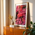 thumbnail image 3 of California Blooms - Los Angeles California Photography Floral Flowers Botanical Nature Tropical Scenic Pastel Unframed Wall Art Print 40 x 60 inches, 3 of 81