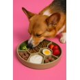 thumbnail image 1 of Comedero Lento de Silicona tipo Panal Para perro, 1 of 4
