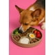 thumbnail image 1 of Comedero Lento de Silicona tipo Panal Para perro, 1 of 4