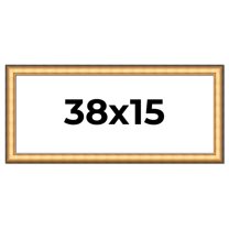 38x15 Frame Gold Plein Aire Solid Wood Picture Frame Width 2 Inches | Interior Frame Depth 0.5