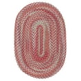 thumbnail image 2 of SAFAVIEH Braided Leilah Abstract Cotton Reversible Area Rug, Light Blue/Rust, 3' x 5' Oval, 2 of 7
