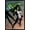 Black Framed Version, variant on Marvel Comics - She-Hulk - She-Hulk #29 Wall Poster, 22.375" x 34", Framed