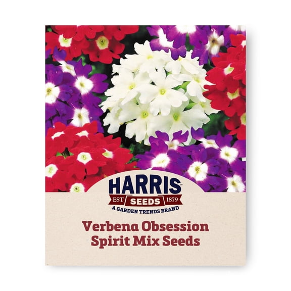 Harris Seeds Verbena Obsession Spirit Mix, Non-GMO Flower, 50 Count