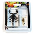 thumbnail image 2 of ED Speldy East PWC425 Scorpion Paperweight Collection - 2 Piece, 2 of 3
