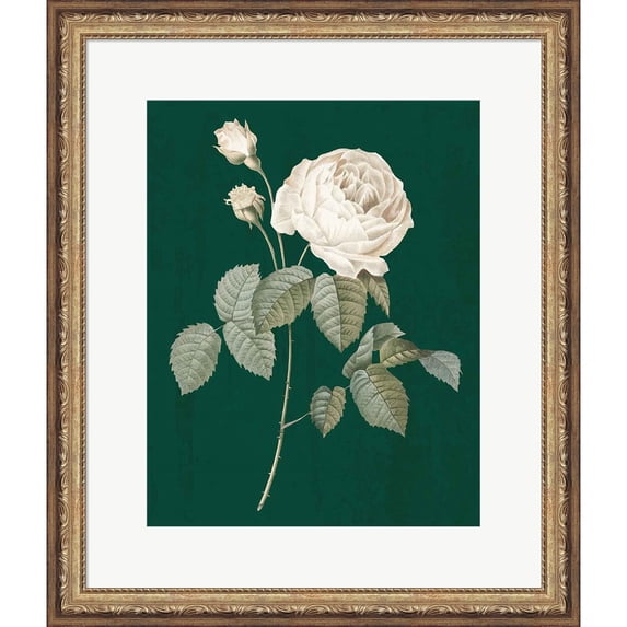 Great Art Now White Roses on Green II by Wild Apple Portfolio, Framed Wall Art, 18.75W x 22H