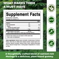thumbnail image 2 of Vitamatic Sugar Free Moringa Gummies - 10000 mg Equivalent per Serving - Complete Green Superfood - 60 Pectin Based Gummies, 2 of 11
