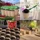 thumbnail image 5 of 20 vasos de pulpa desechables, maceta nutritiva, mortero de plantación biodegradable, cultivo en macetas, maceta nutritiva, 5 of 5