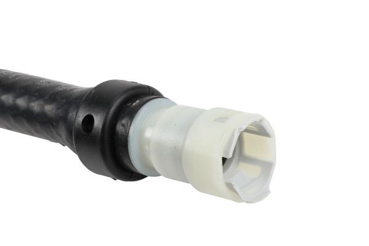 Radiator Surge Tank Outlet Hose