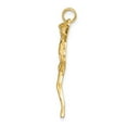 thumbnail image 2 of 14k Yellow Gold Polished Corpus Pendant Necklace 35x25.5mm Wide Pendant for Women, 2 of 4