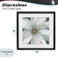 thumbnail image 4 of Stupell Industries Transitional Large White Flower Closeup Black Framed Print Under Glass, 13 x 13, by Carol Robinson, 4 of 8