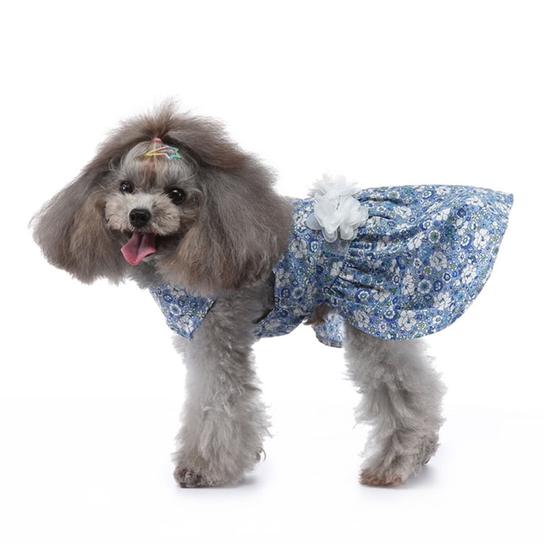 Costume Per Cane A Forma Di Lama, Taglia L, Peluche Con Mantellina E Nappine, Per Feste E Carnevale