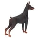 thumbnail image 4 of Figura de perro, material plástico Juguetes Realistas en miniatura en miniatura estatua de perros educativa para niños, 4 of 7