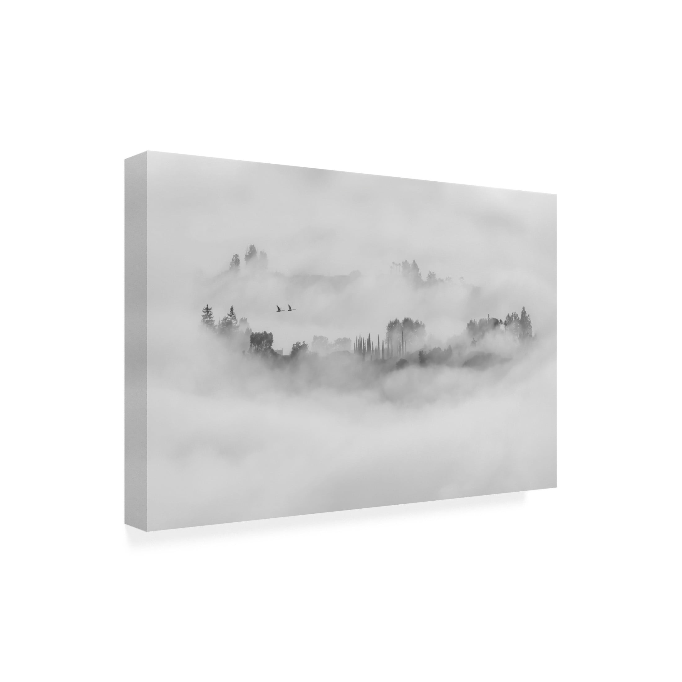 Trademark Fine Art Jay Wang Foggy Morning in Los Angeles Canvas Wall Art