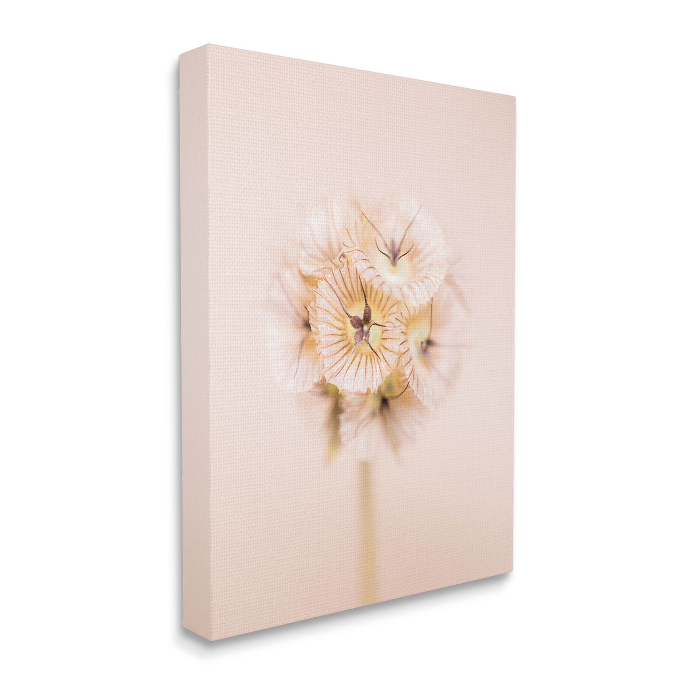 Pastel Pink Floral Sprig Bloom Botanical & Floral Photograph Gallery Wrapped Canvas Print Wall Art