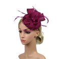 thumbnail image 7 of Clearance! Fdelink Handmade Women Hair Clip Feather Wedding Casual Fascinator Headpieces the Band, 7 of 7