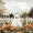 Halloween Pumpkin Field, variant on Yayeee Bath Rug for Bathroom Floor Non Slip Rectangle Fluffy Soft Absorbent Mat, 16"x24", Colorful White