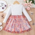thumbnail image 6 of YTDSCS Baby Kids Spring Fall Dresses for Girls，18M-6Y Newborn Long Sleeve Dresses Floral Dresses Toddler Printing Pullover Princess Dresses Mesh Dress Skirt, 6 of 8