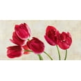 thumbnail image 2 of Villa, Luca 24x14 White Modern Wood Framed Museum Art Print Titled - Tulip concerto, 2 of 4