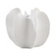 thumbnail image 1 of Jarrón de carambola, jarrón decorativo para mesa, centro de mesa para mesita de noche, estante de oficina Blanco S, 1 of 9