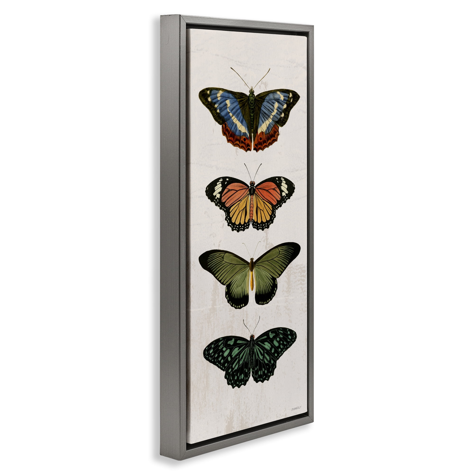 Stupell Industries Butterfly Lineup Vintage Gray Framed Floater Canvas Wall Art, design by Dan Meneely
