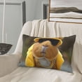 thumbnail image 6 of Haiem Pillowcase for Hair and Skin Queen - Heavy Metal Style Guinea Pig Printed Soft Pillowcase with Envelope Closure-14"x20", 6 of 8
