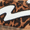Leopard, variant on Women's Giia Gum Sole Lace-Up Sneaker