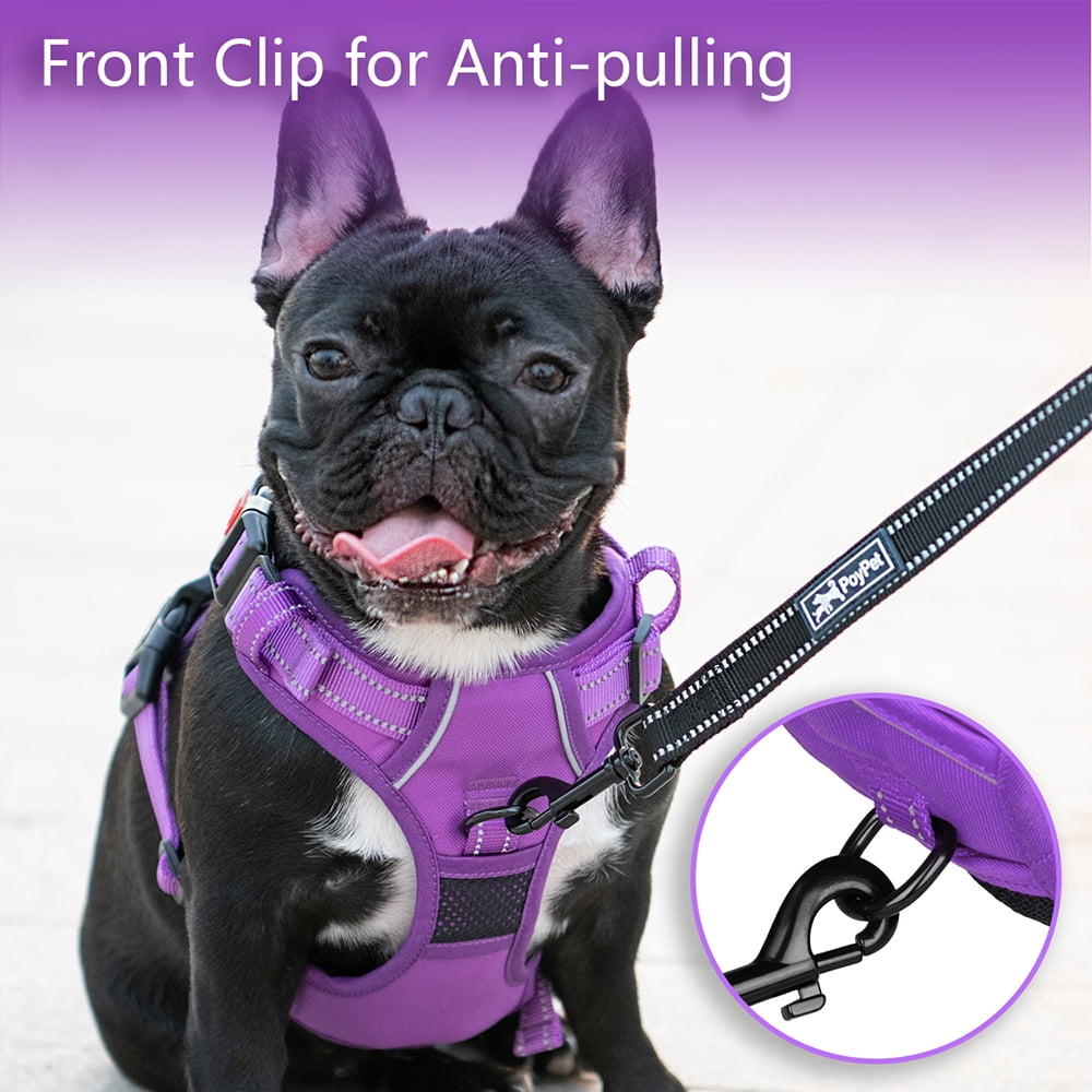 CROWN KONI No-Pull Dog Harness | Adjustable Padded Harness For Small To Large Dogs | Leather & Nylon | No Choke Design