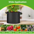 thumbnail image 4 of Bolsas de cultivo HealSmart Nonwoven de 5 galones, paquete de 6 unidades, para jardín, 4 of 5