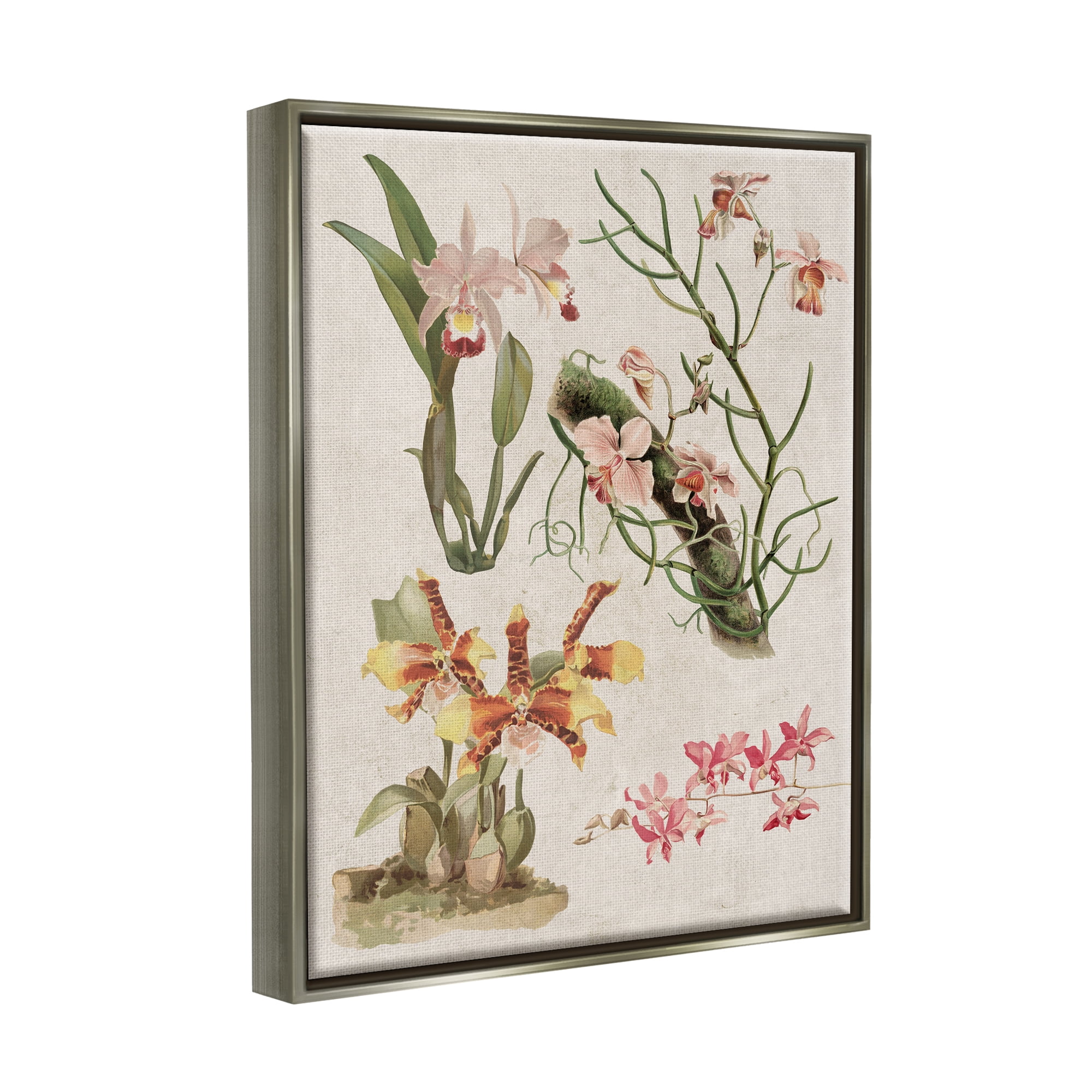 Stupell Vintage Studies Varied Flora Botanical & Floral Painting Gray Floater Framed Art Print Wall Art