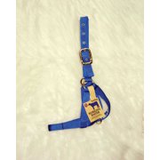 Hamilton Halter Company - Halter Cow Turn Out- Blue Yearling - 30DY BL