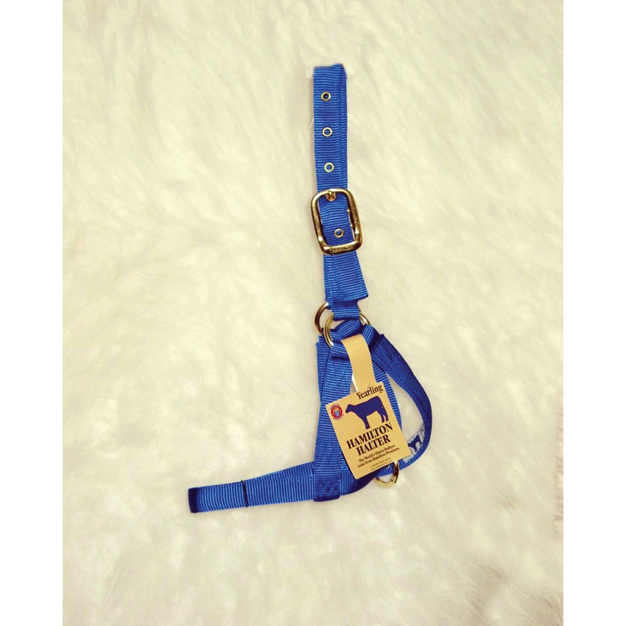 Hamilton Halter Company - Halter Cow Turn Out- Blue Yearling - 30DY BL