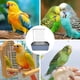 thumbnail image 2 of Ducha para Pájaros, Bañera Automática Loros, de Agua Circulante Mascotas, Accesorios Baño Pájaros., 2 of 8