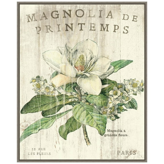 Amanti Art Magnolia de Printemps Framed Canvas Wall Art Print