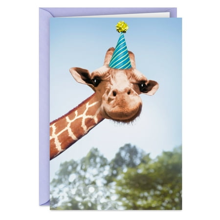 Hallmark Shoebox Funny Birthday Card (You Bet Giraffe I Am)