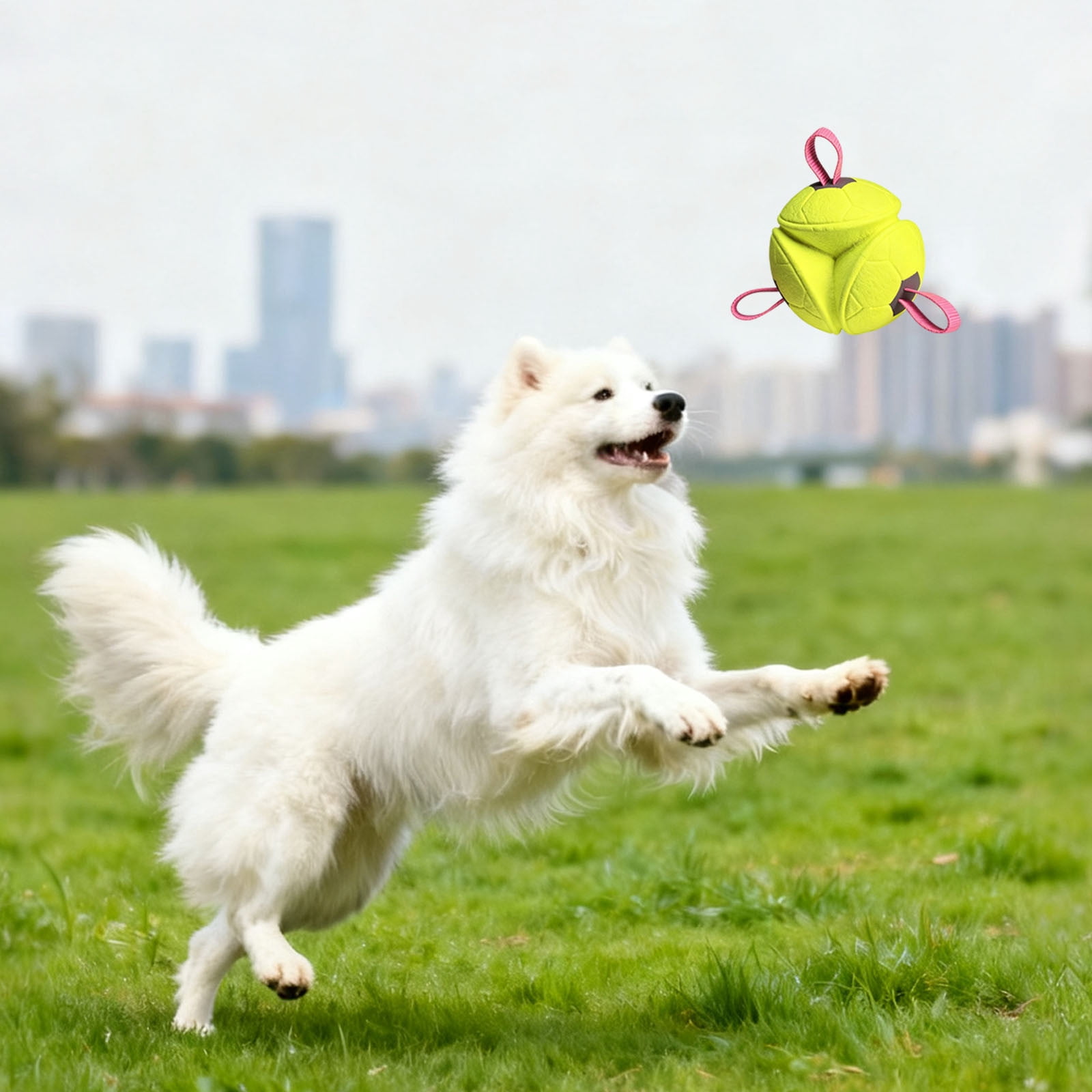 Interactive Dog Ball With Rope Tug-of-war Puppy Toy For Aggressive Chewers Teething Indoor Outdoor Play Home Use