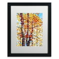 thumbnail image 2 of Mandy Budan 'Panoply' Matted Framed Art, 2 of 4